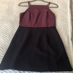 NWOT French Connection Dress 4